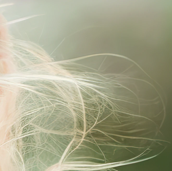 Les bons reflexes des salons de coiffure Owa Colors pour vos cheveux fins et abimés